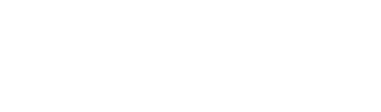 Vivotek